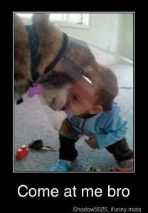 EDITED VERSION - terrible picture baby and dog 2-19-213